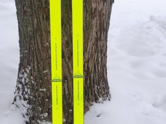 Горные лыжи Rossignol 198