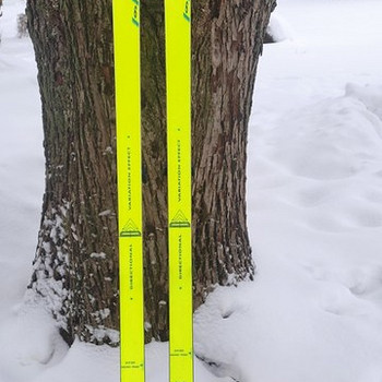Горные лыжи Rossignol 198