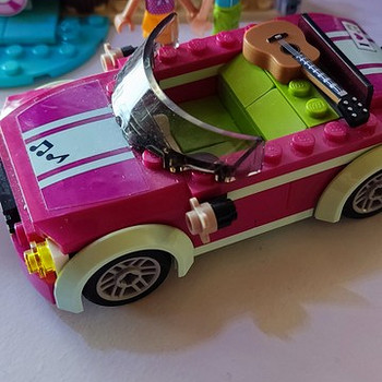 Друзья Лего 41316
