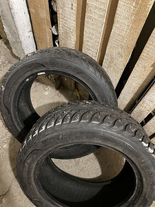 Sava naastrehvid 205/55 R16 2tk (2 foto / 7)