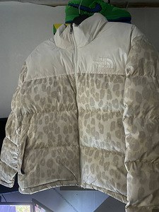 The North Face (1 фото из 4)