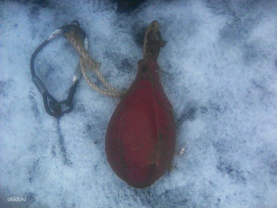 Груша