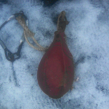 Poksikott