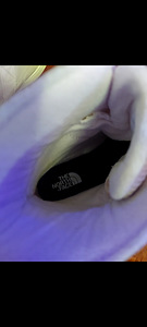 North Face Sierra veekindlad saapad 36.5 (4 foto / 9)