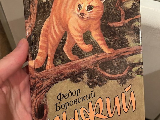 Детская книга