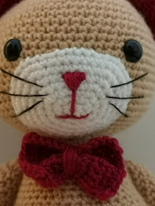 Amigurumi kass Pablo (1 foto / 6)
