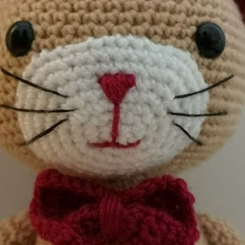 Amigurumi kass Pablo