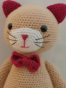 Amigurumi kass Pablo (3 foto / 6)