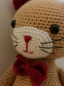 Amigurumi kass Pablo (1 foto / 6)