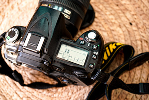 Nikon d90 + Nikkor 18-77mm f/ 3.5-4.5 AF-S (2 фото из 8)