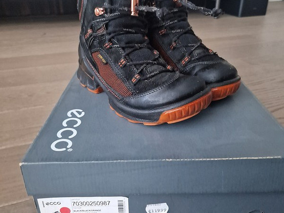 Ecco №35