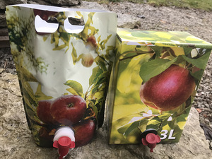Яблочный сок (1 фото из 5)