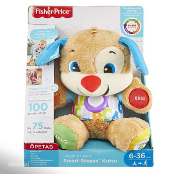 Fisher Price laulukoer - EST, FPN93