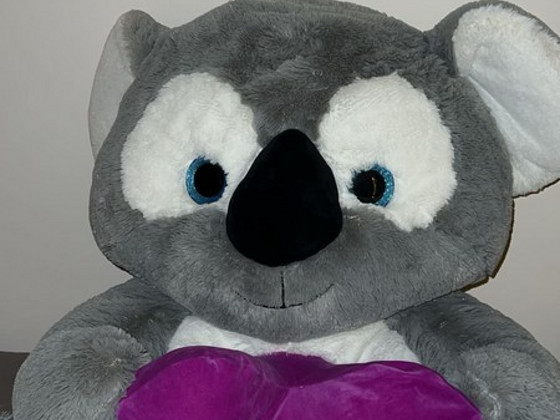 Коала