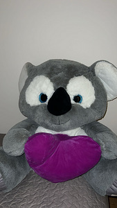 Koala (1 foto / 2)