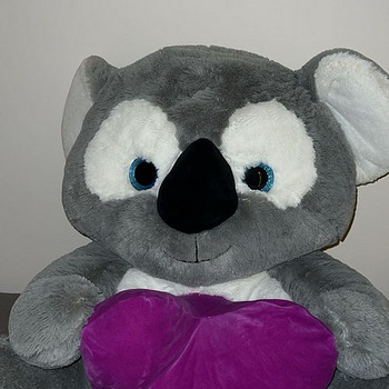 Коала