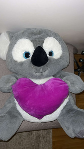 Koala (2 foto / 2)