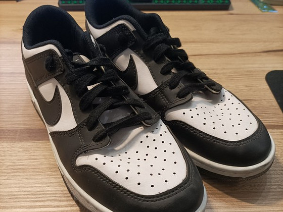 Nike panda dunk tossud suurus 44