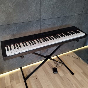 Digitalne klaver DP Junior / Digital piano DP Junior (1 foto / 6)