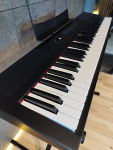Digitalne klaver DP Junior / Digital piano DP Junior (2 foto / 6)