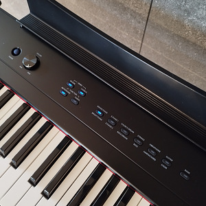 Digitalne klaver DP Junior / Digital piano DP Junior (4 foto / 6)