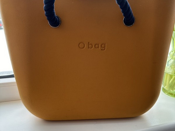 Obeg kott
