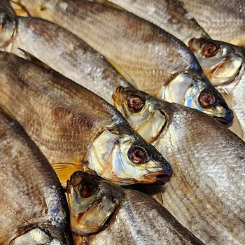 Kuivatatud kala Vimba, Roach, Bychek.
