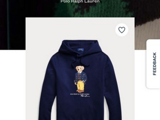 Polo Bear hoodie