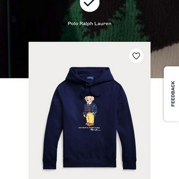 Polo Bear hoodie