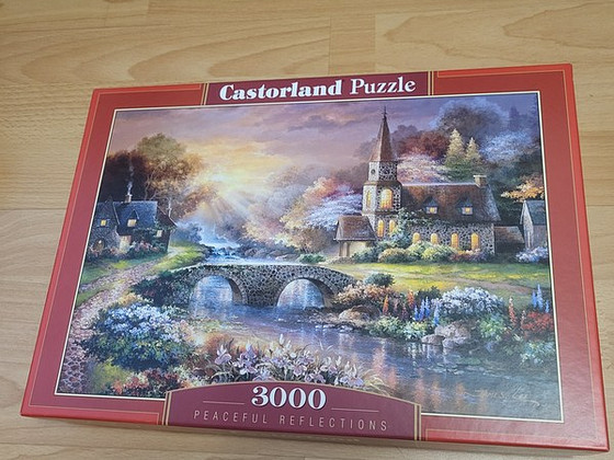 Pusle 3000