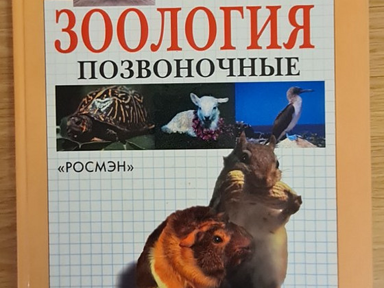 Зоология. Позвоночные. Оливан Мануэль Пуигсервер