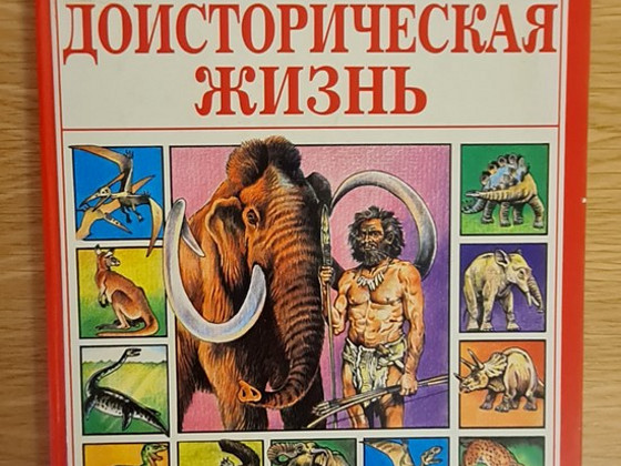 Доисторическая жизнь. Анна Маккорд