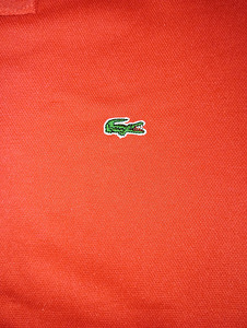 Polo Lacoste (4 foto / 4)