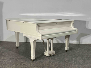 Steinway & Sons model O (3 фото из 6)