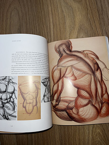 Анатомия для художников "Dynamic Anatomy" Burne Hogarth (4 фото из 4)