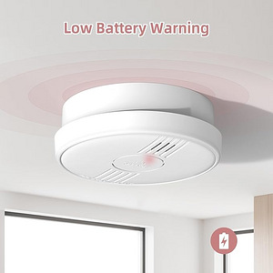 Suitsuandur Smoke Detector Alarm (3 foto / 7)