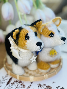 Корги щенок (2 фото из 5)