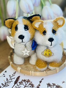 Корги щенок (3 фото из 5)