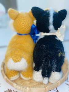Корги щенок (4 фото из 5)