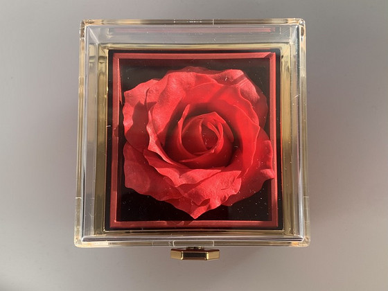 Rose with decorations