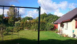 Koerte asendushooldus (1 foto / 1)