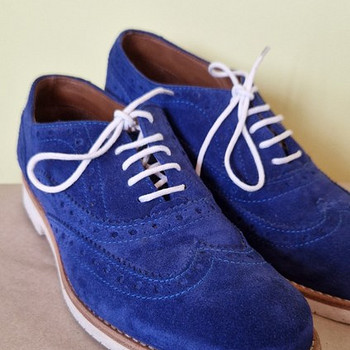 Pollini kingad