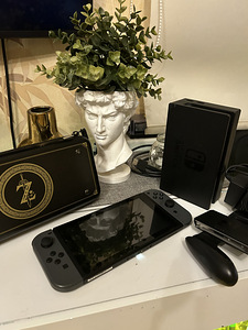 NINTENDO SWITCH GREY BEZMAKSAS PIEGĀDE + MACIŅŠ (3 foto no 5)