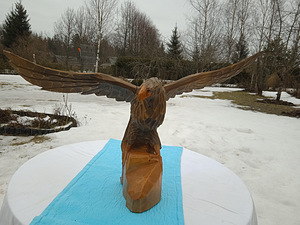 Müüa suur kodkas . Tiibade laius 71 cm ,kõrgus 33 cm . (1 foto / 5)