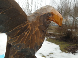 Müüa suur kodkas . Tiibade laius 71 cm ,kõrgus 33 cm . (2 foto / 5)