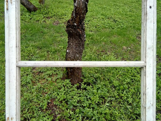 Деревянные окна
