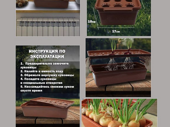 Емкость для выращивания зеленого лука