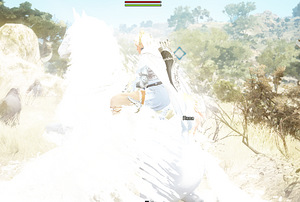BlackDesert (7 фото из 9)