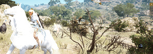 BlackDesert (8 фото из 9)