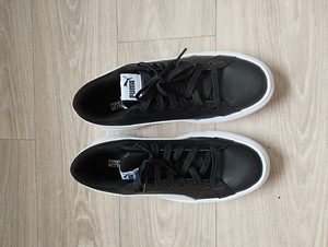 Puma tossud (1 foto / 3)